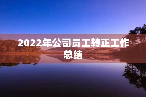 2022年公司员工转正工作总结