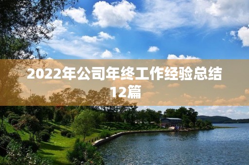 2022年公司年终工作经验总结12篇