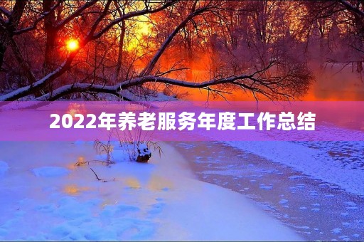 2022年养老服务年度工作总结