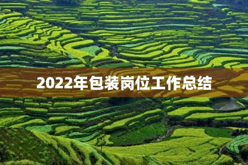 2022年包装岗位工作总结