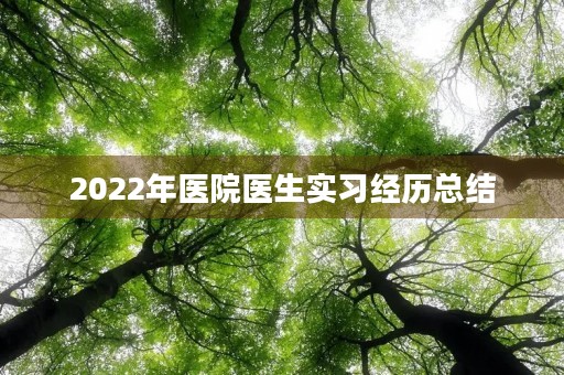 2022年医院医生实习经历总结