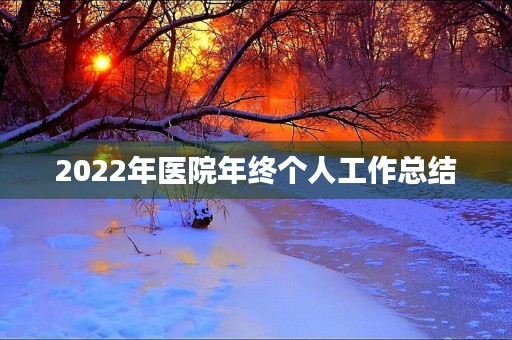 2022年医院年终个人工作总结