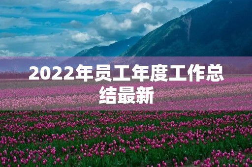 2022年员工年度工作总结最新