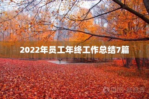 2022年员工年终工作总结7篇