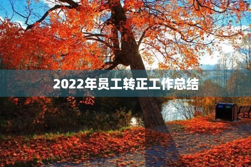 2022年员工转正工作总结