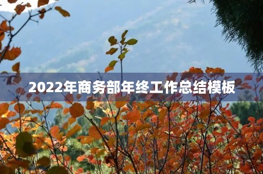 2022年商务部年终工作总结模板