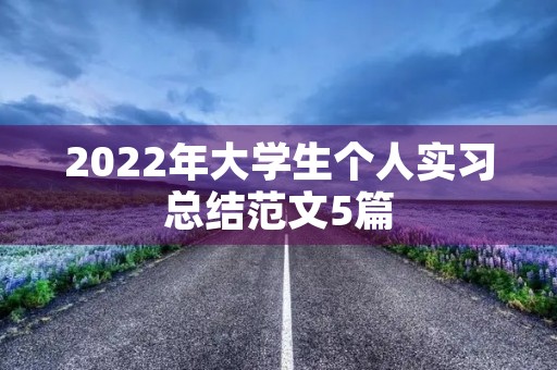 2022年大学生个人实习总结范文5篇