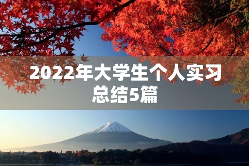 2022年大学生个人实习总结5篇