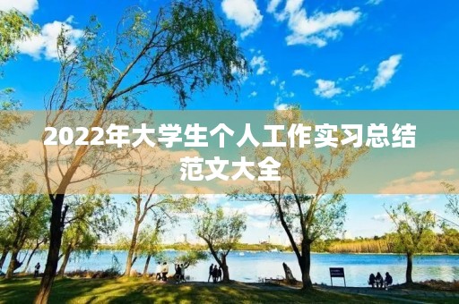 2022年大学生个人工作实习总结范文大全