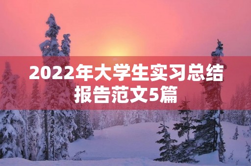 2022年大学生实习总结报告范文5篇