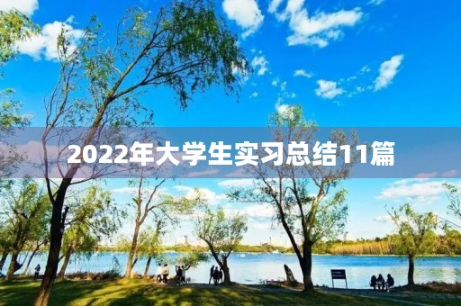 2022年大学生实习总结11篇 2022年大学生实习总结11篇