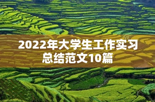2022年大学生工作实习总结范文10篇 2022年大学生工作实习总结范文10篇