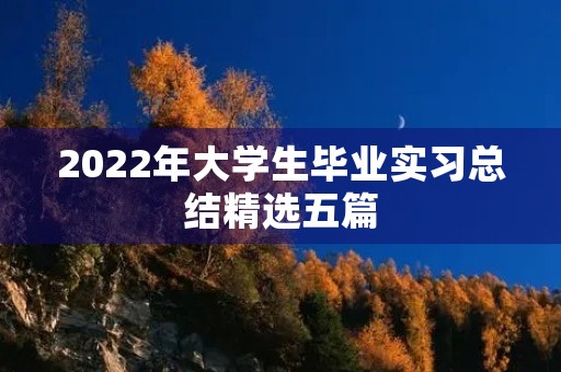 2022年大学生毕业实习总结精选五篇