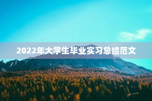 2022年大学生毕业实习总结范文