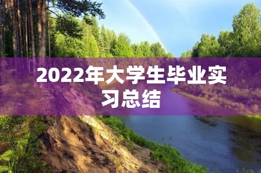 2022年大学生毕业实习总结 2022年大学生毕业实习总结