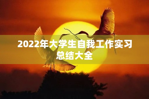 2022年大学生自我工作实习总结大全 2022年大学生自我工作实习总结大全