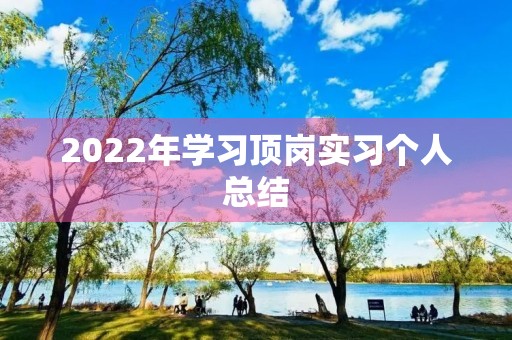 2022年学习顶岗实习个人总结