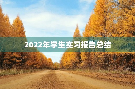 2022年学生实习报告总结