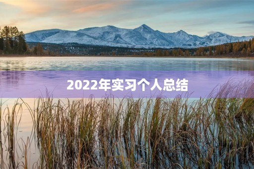 2022年实习个人总结