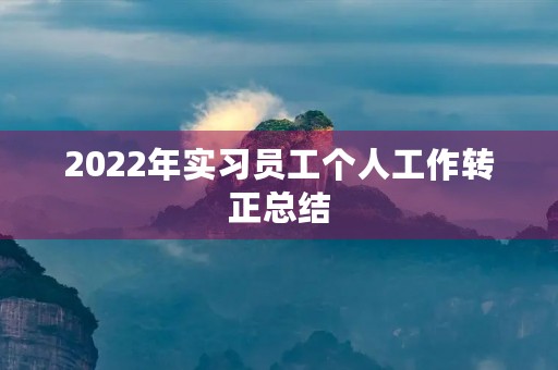 2022年实习员工个人工作转正总结
