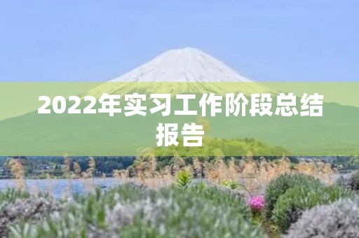 2022年实习工作阶段总结报告 2022年实习工作阶段总结报告