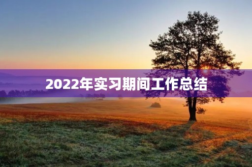 2022年实习期间工作总结 2022年实习期间工作总结