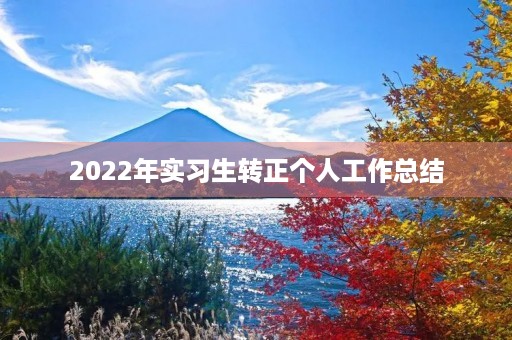 2022年实习生转正个人工作总结
