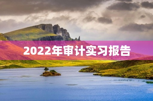 2022年审计实习报告