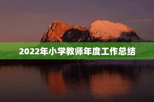 2022年小学教师年度工作总结