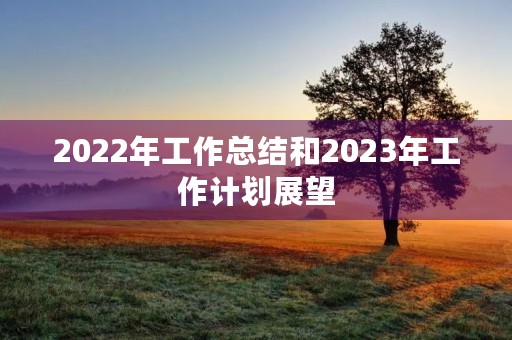 2022年工作总结和2023年工作计划展望