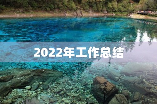 2022年工作总结（30篇）