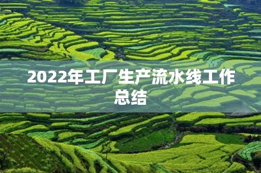 2022年工厂生产流水线工作总结