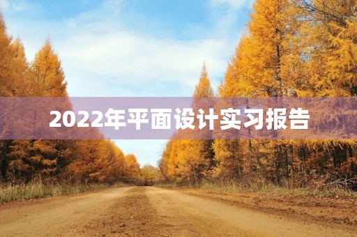 2022年平面设计实习报告