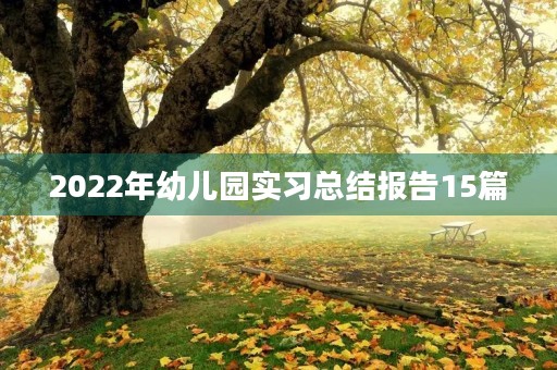 2022年幼儿园实习总结报告15篇