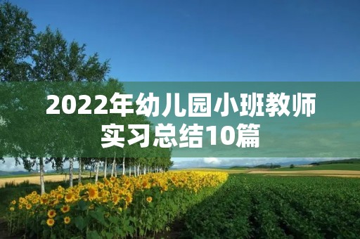 2022年幼儿园小班教师实习总结10篇 2022年幼儿园小班教师实习总结10篇