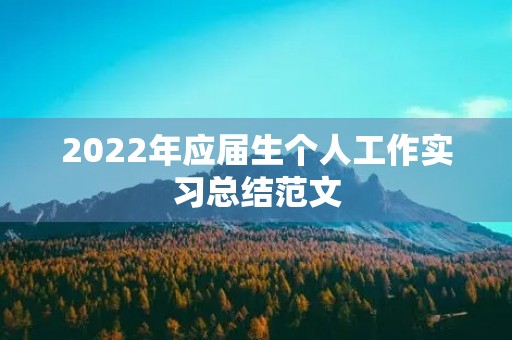 2022年应届生个人工作实习总结范文 2022年应届生个人工作实习总结范文
