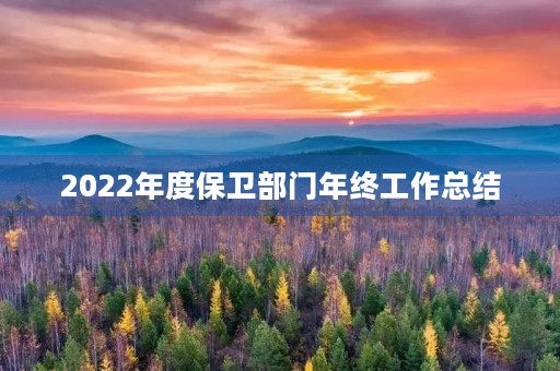 2022年度保卫部门年终工作总结 2022年度保卫部门年终工作总结