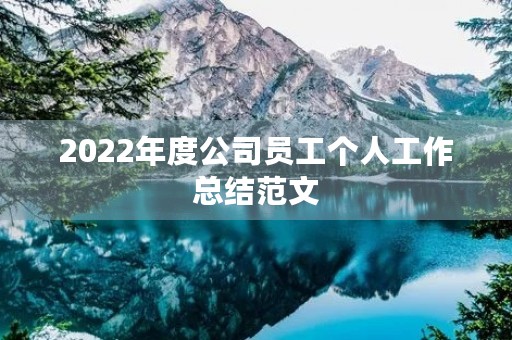 2022年度公司员工个人工作总结范文