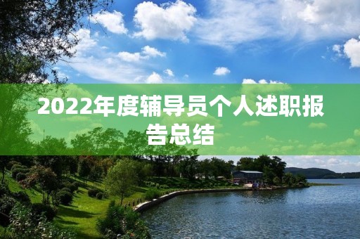 2022年度辅导员个人述职报告总结