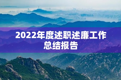 2022年度述职述廉工作总结报告