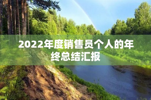 2022年度销售员个人的年终总结汇报 2022年度销售员个人的年终总结汇报