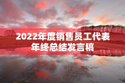 2022年度销售员工代表年终总结发言稿 2022年度销售员工代表年终总结发言稿