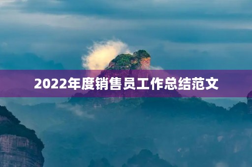 2022年度销售员工作总结范文