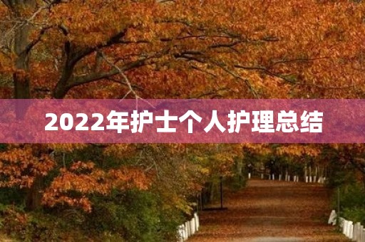 2022年护士个人护理总结(7篇)
