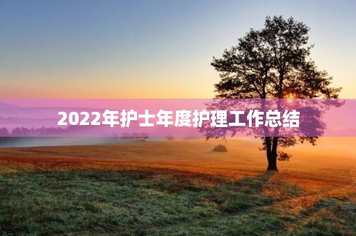 2022年护士年度护理工作总结(7篇)