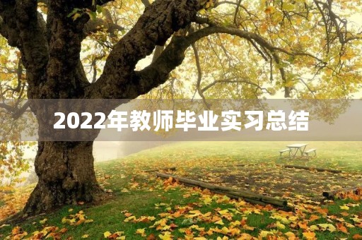 2022年教师毕业实习总结 2022年教师毕业实习总结