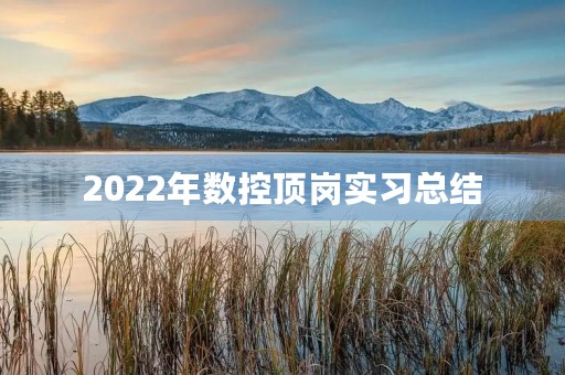 2022年数控顶岗实习总结