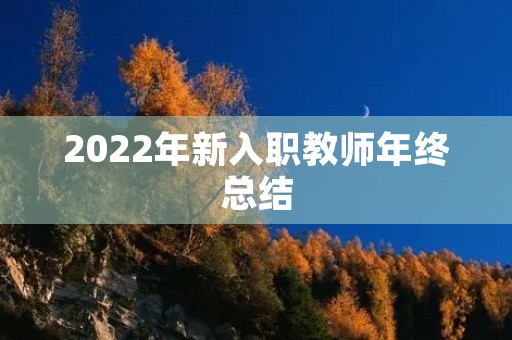 2022年新入职教师年终总结