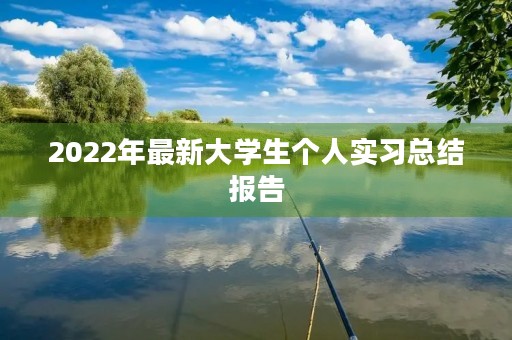 2022年最新大学生个人实习总结报告
