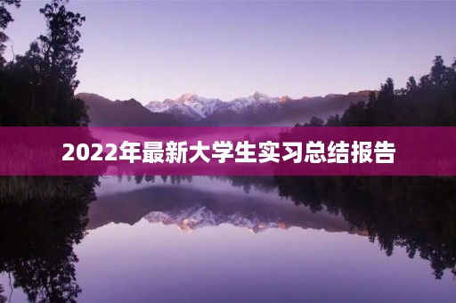 2022年最新大学生实习总结报告 2022年最新大学生实习总结报告